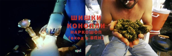 прущие грибы Абдулино