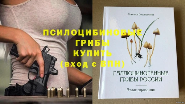прущие грибы Абдулино