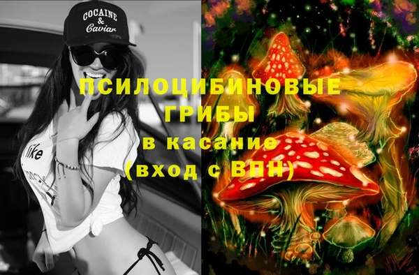 хмурый Абинск