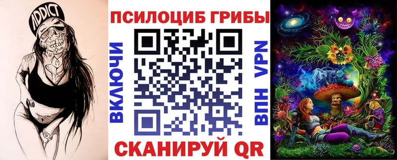 где продают   Ядрин  Псилоцибиновые грибы ЛСД 
